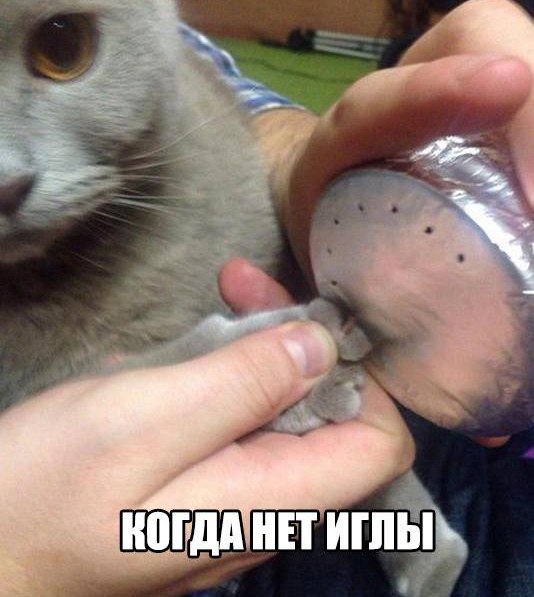 Лайфхак