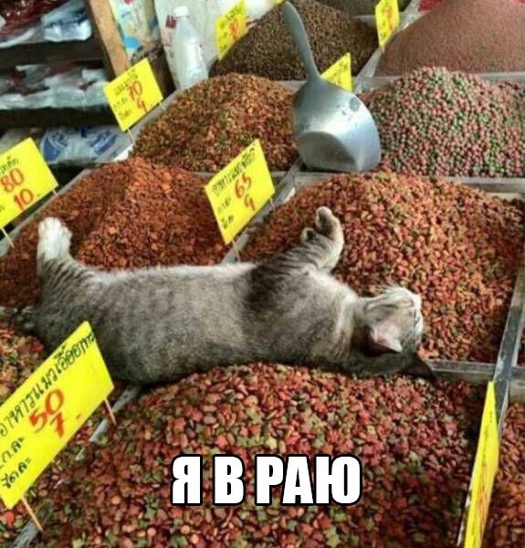 Рай