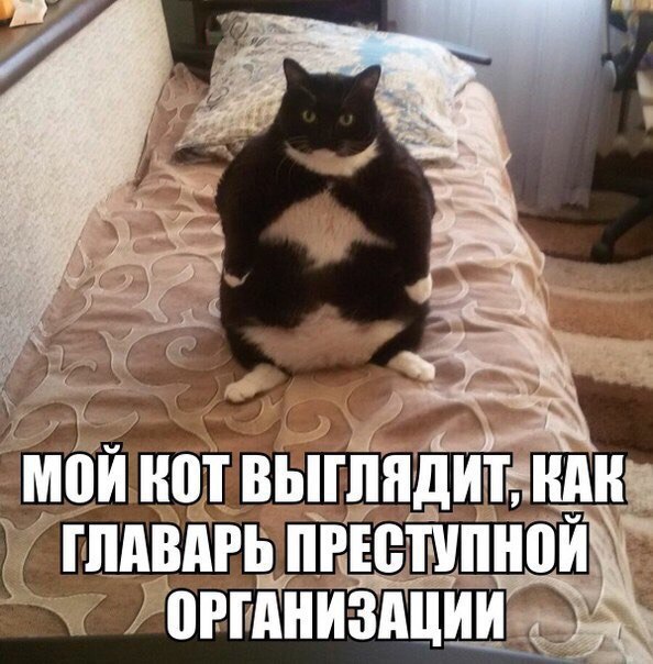 Мафиози