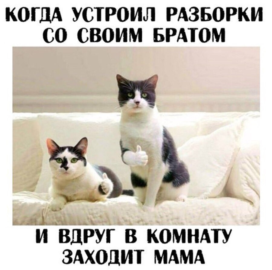 Все в порядке