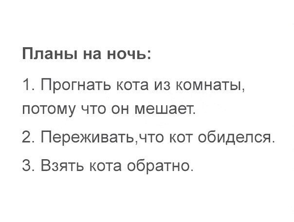 Кот - святое