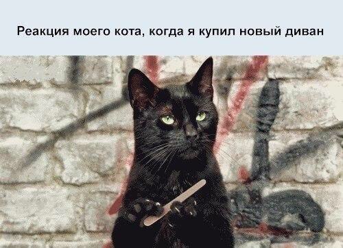 Давно когти не точил...
