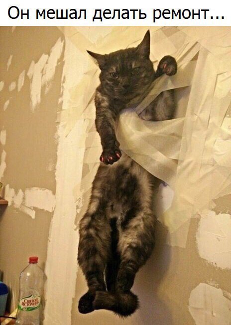 Домешался 