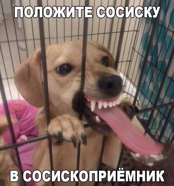 Сосикоприемник
