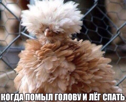*Утром*