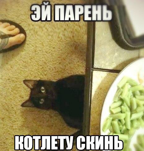 Для кота не жалко