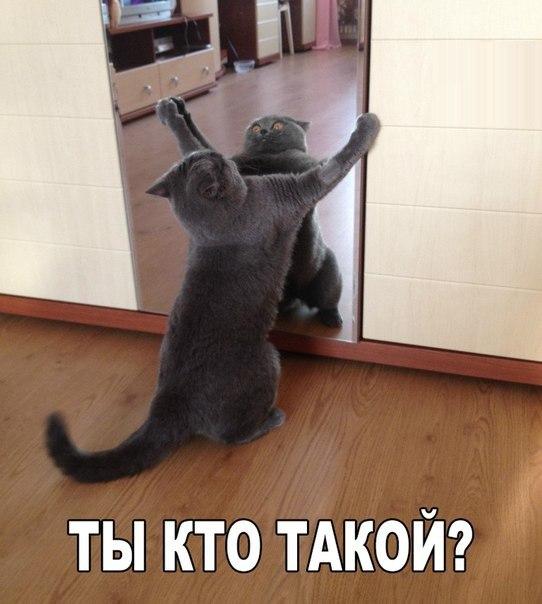 Не узнал 