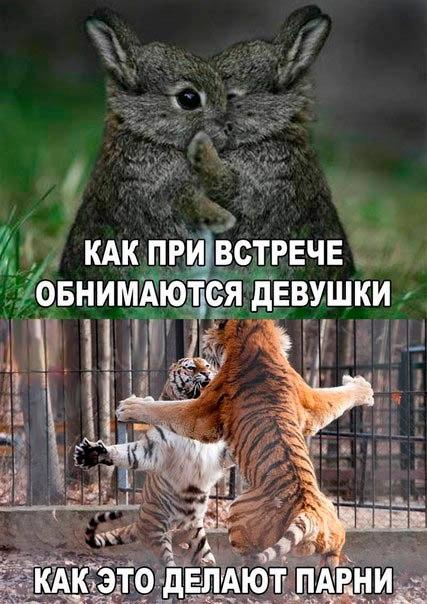 Обнимашки