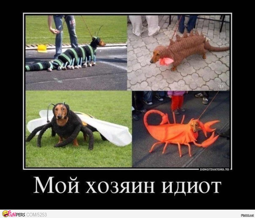 Отличный хозяин