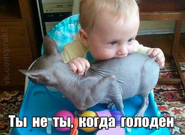 Сникерсни!