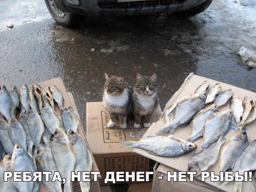 Барыги