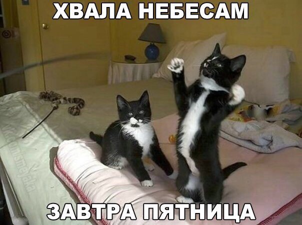 Пятница