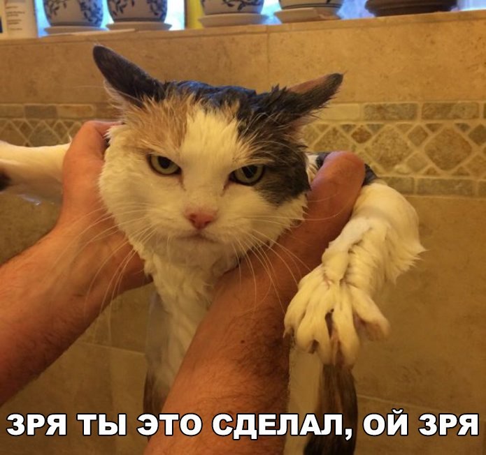 Месть будет жестока
