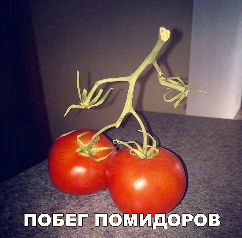 Они живые!