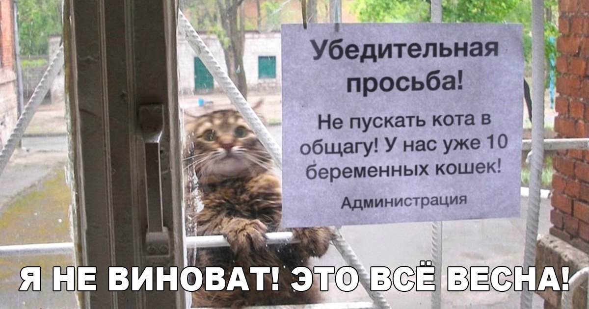 Он не виновен!