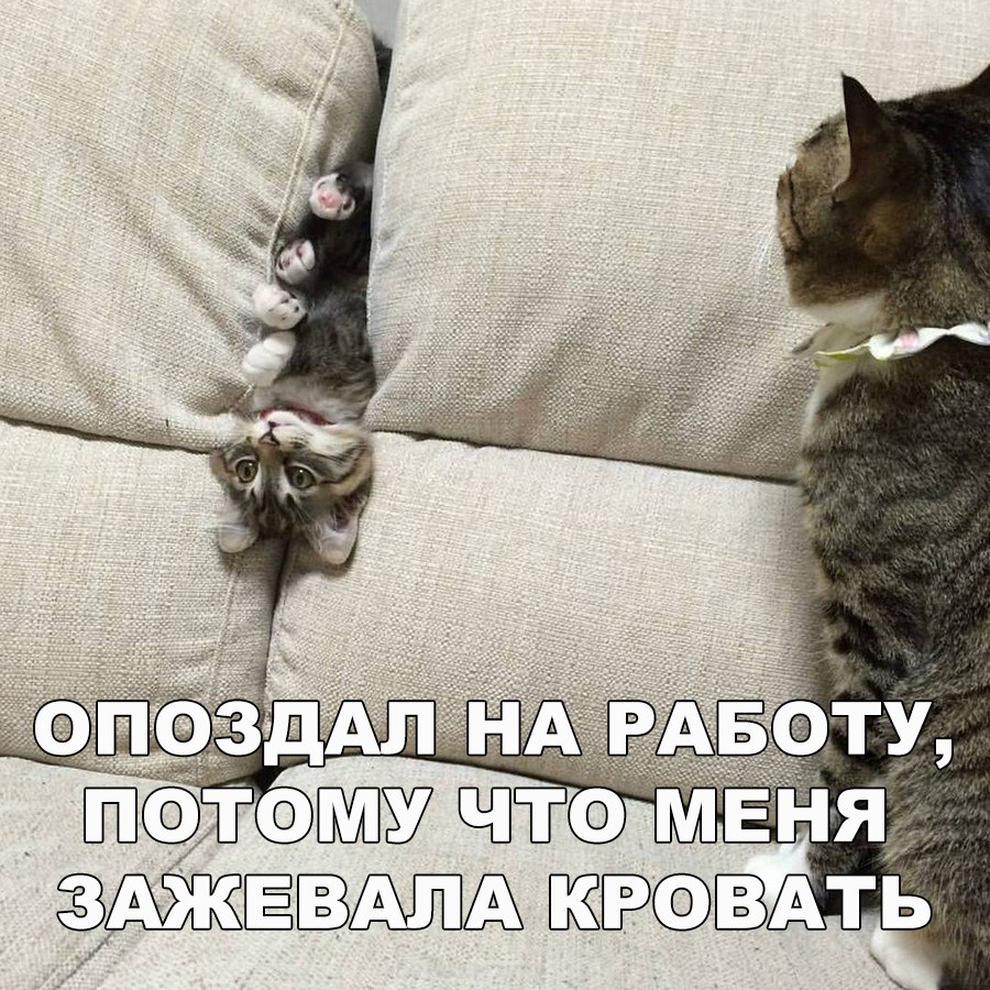 Застрял
