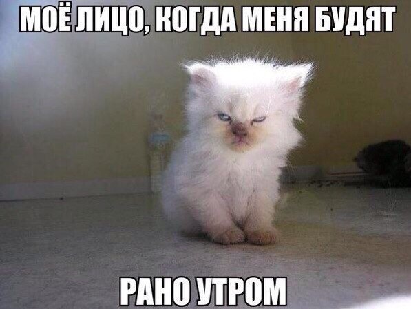 *Утром*
