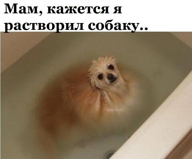 Растворил 