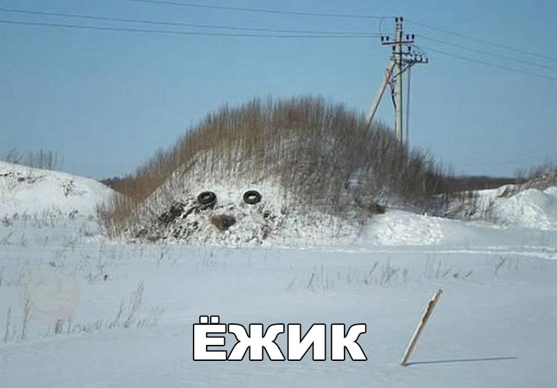 Ёж
