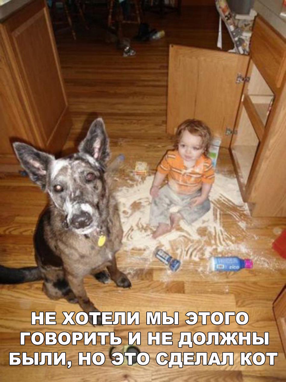 Вообще не палятся