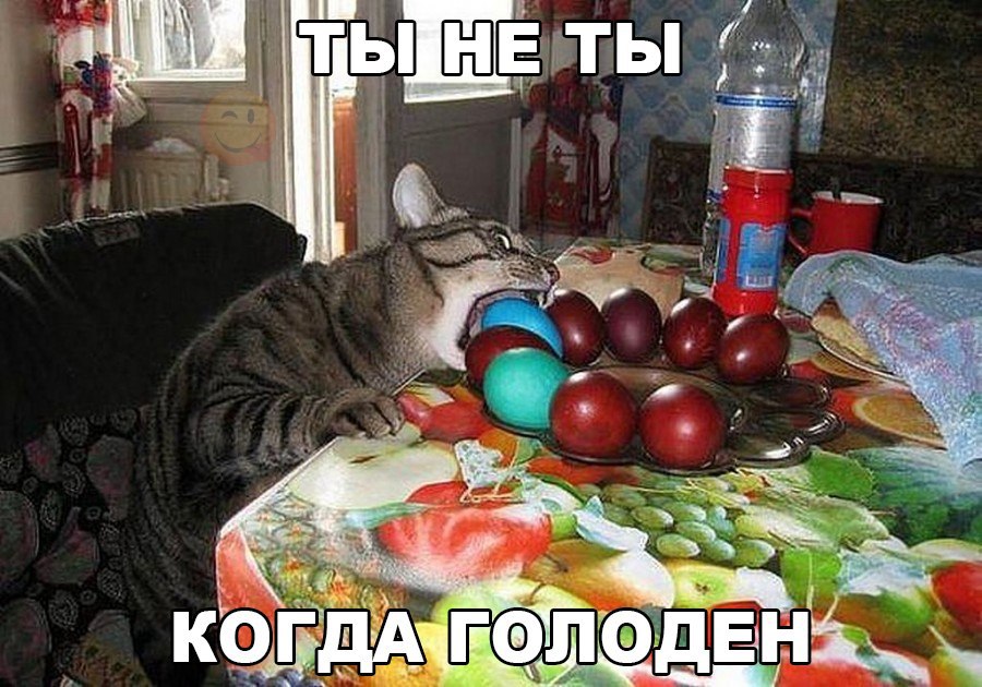 Яйцени!