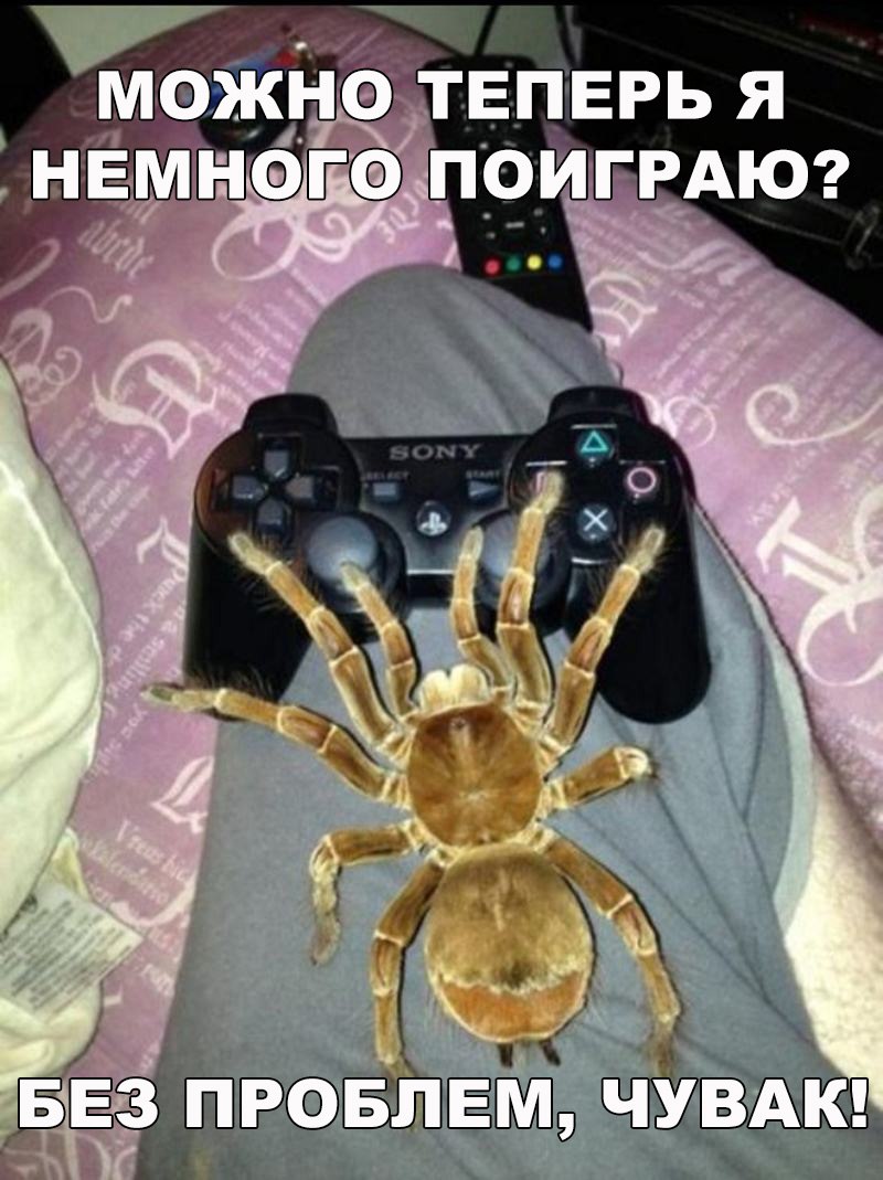 Такому не откажешь