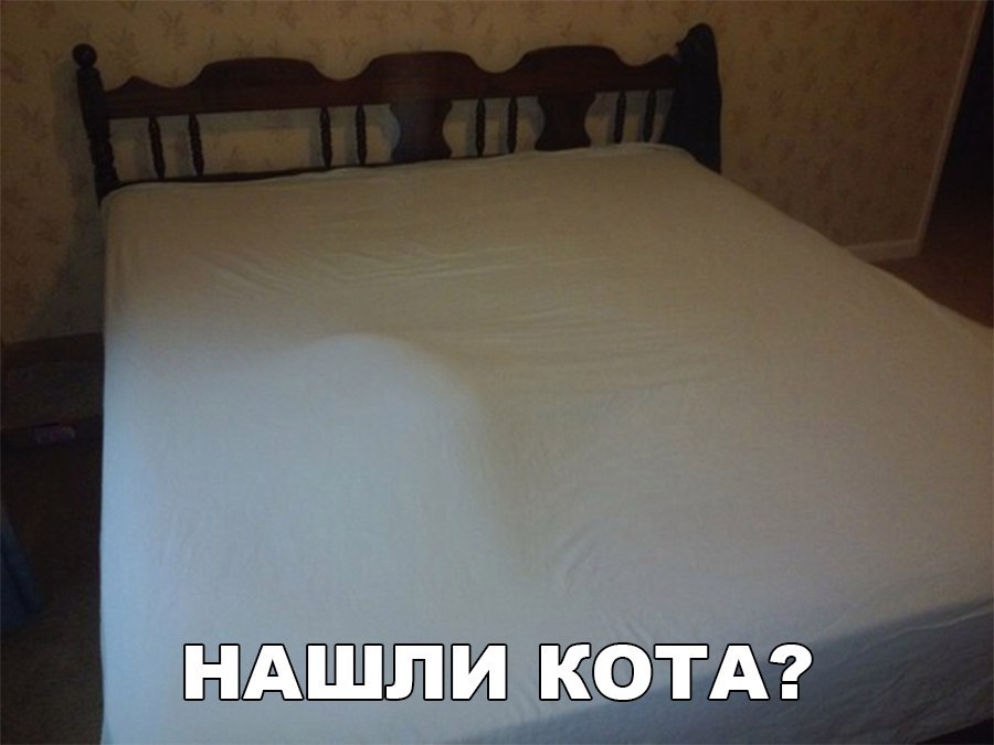 Спрятался