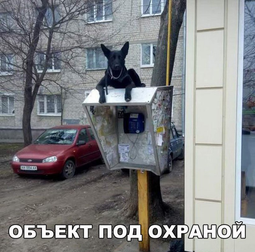 Охранник