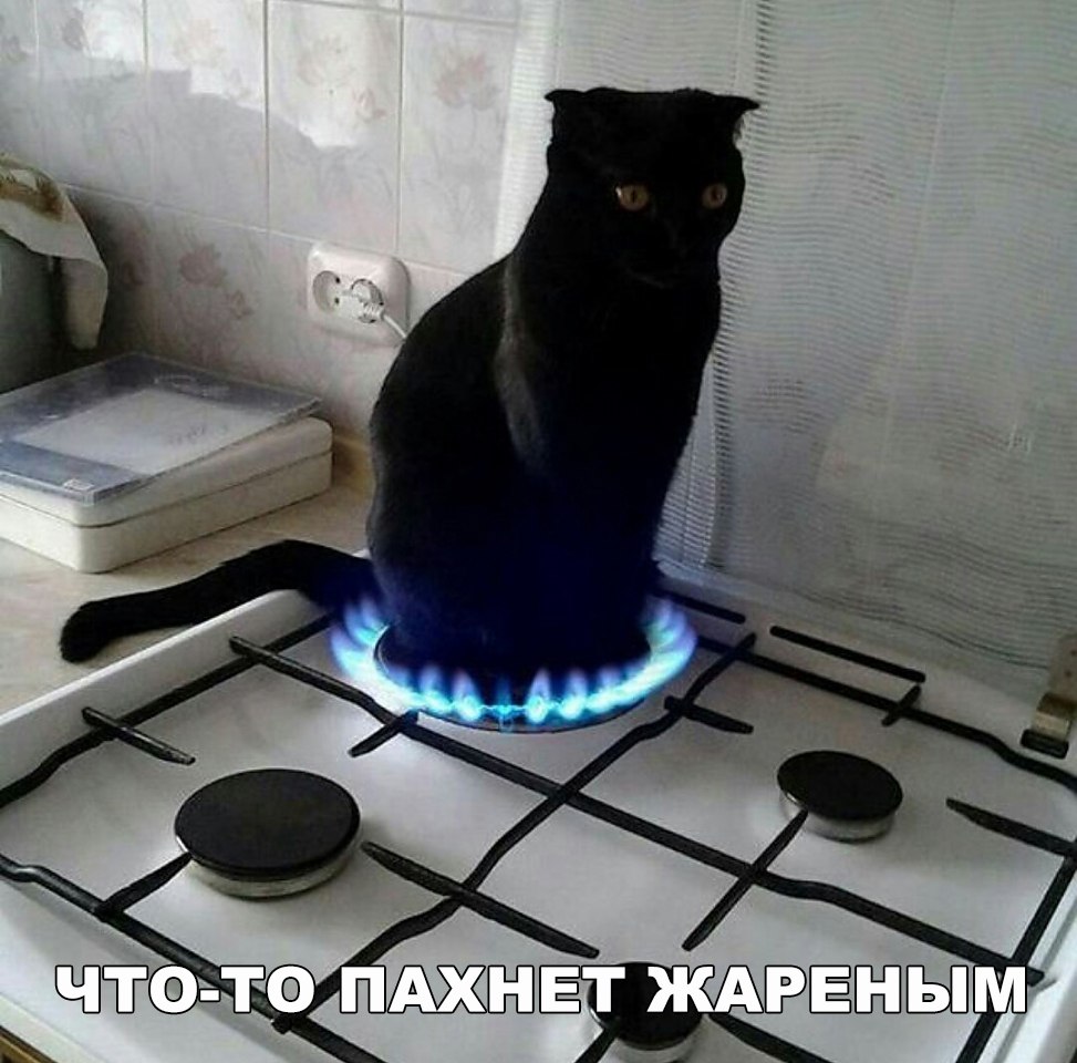 Поджарился