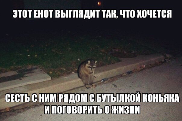 Енотыч