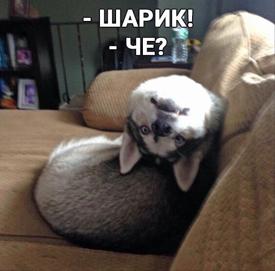 Бес