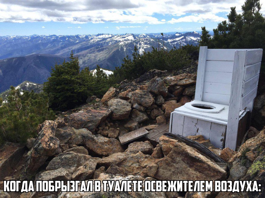 Освежить свежесть