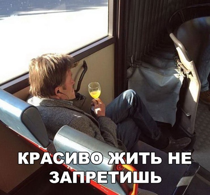 Красиво жить не запретишь