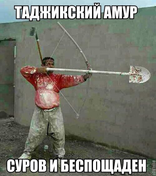 Таджитский киллер