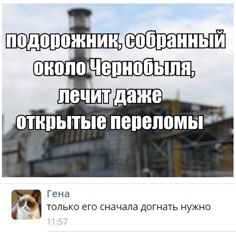 Чернобыль