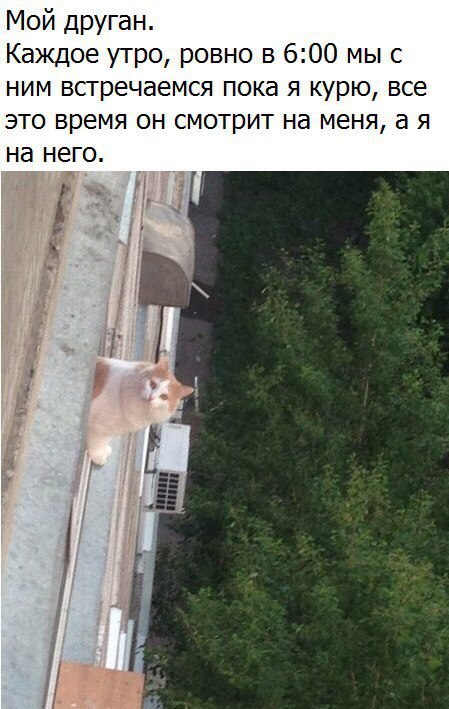 Друзья