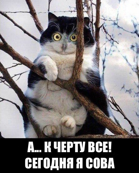 Котосова