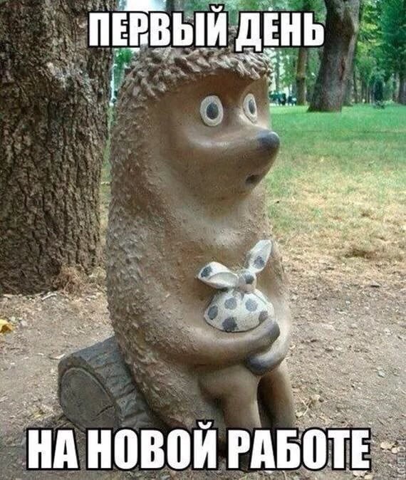 В новой компании