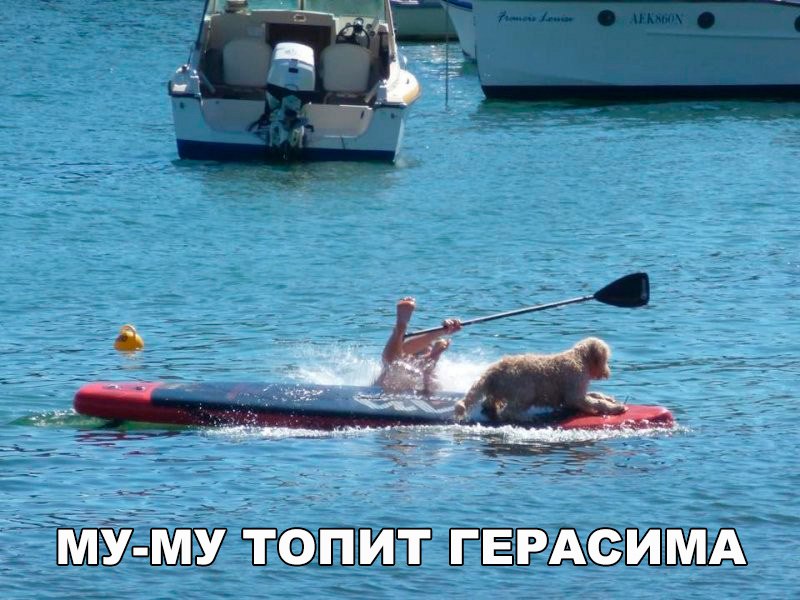 Месть собаки