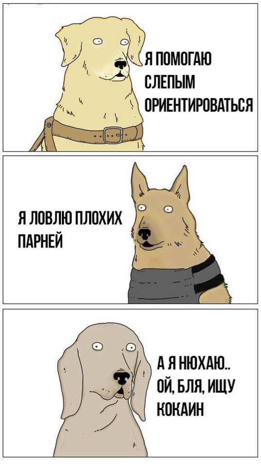 Полезные собаки