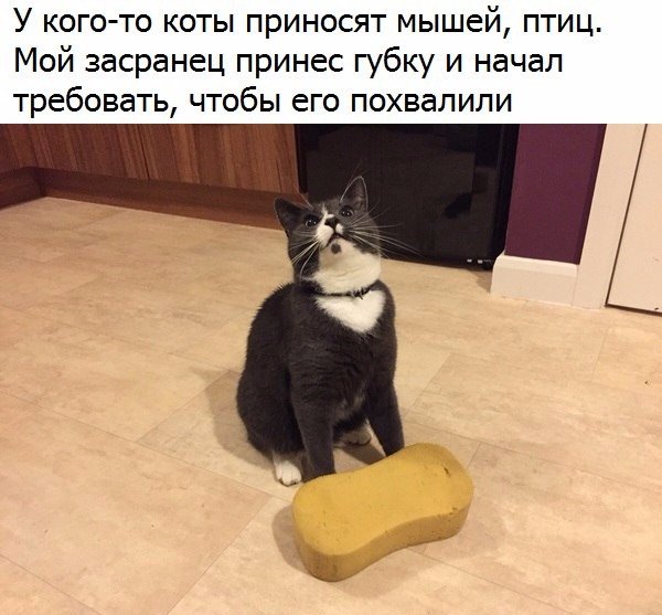 Лишь-бы похвалили