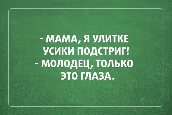 Бедная улитка