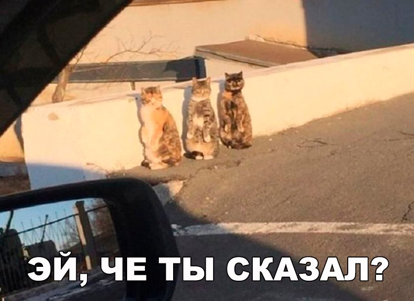 Гопники