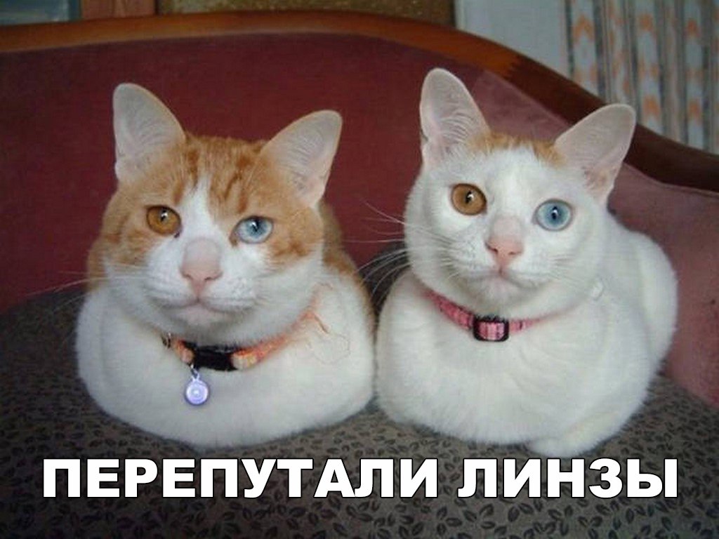 Перепутали