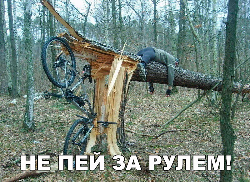 Говорили же!