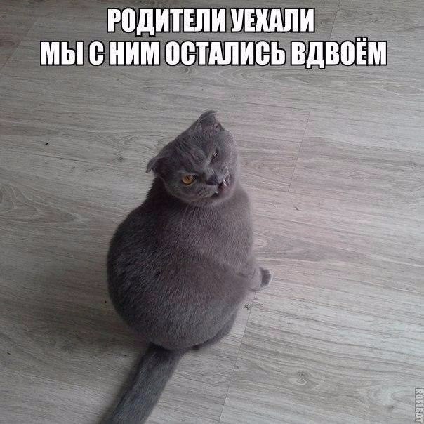 Будет мясо