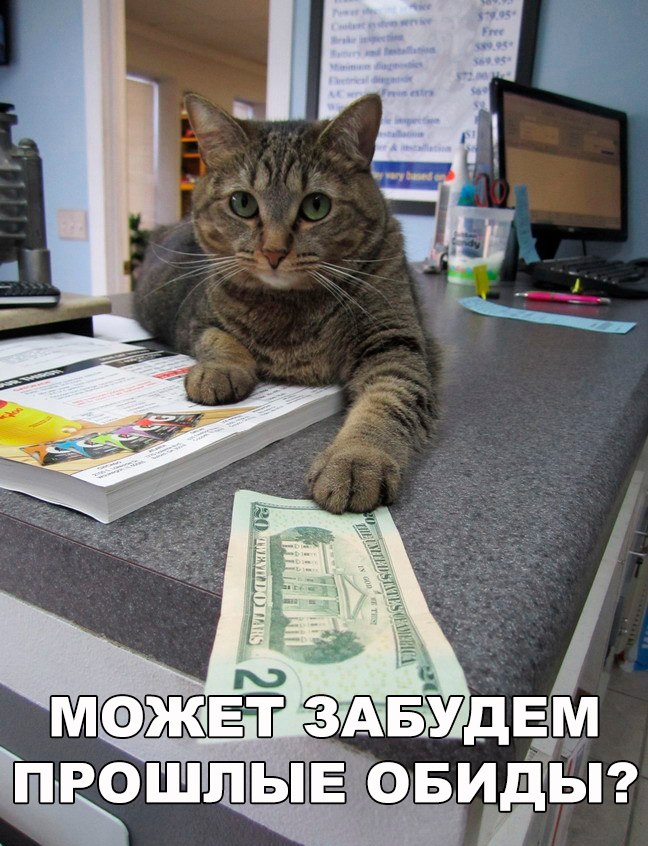Подкупил