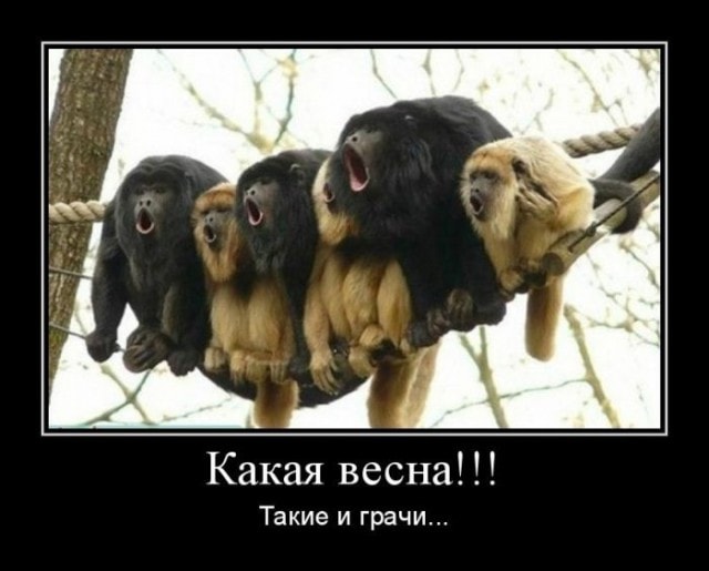 Саврасов бы заплакал...
