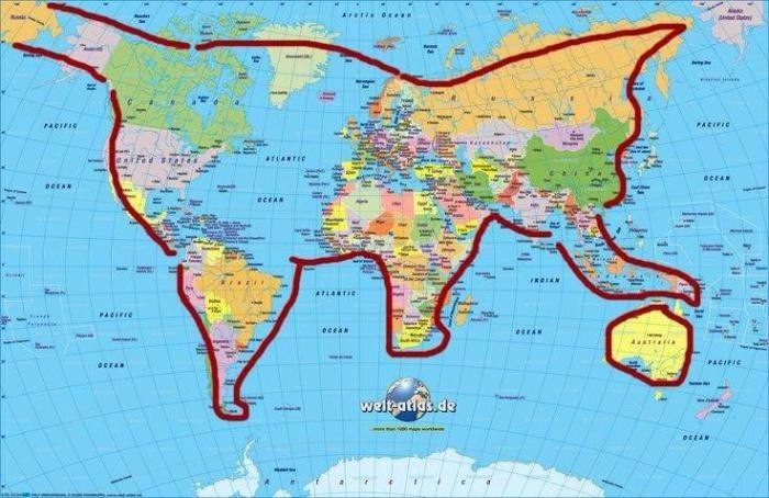 Мир это котик, который играет Австралией..