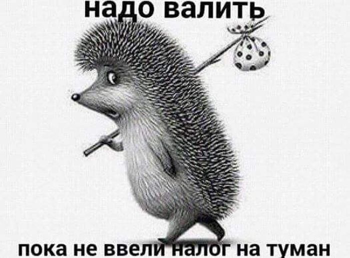 Уходим огородами...